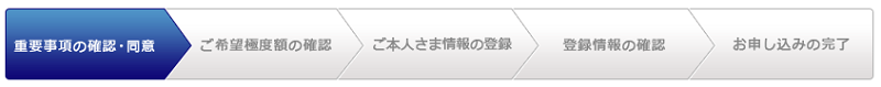 みずほ銀行カードローン申し込み　流れ