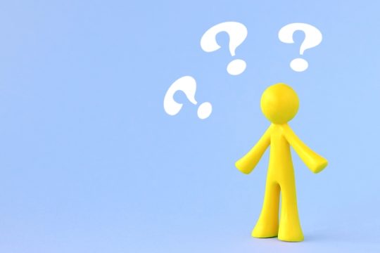 レイクALSA 基本情報 審査情報 特徴